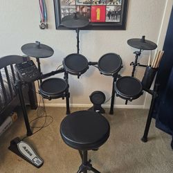 Alesis DM7X