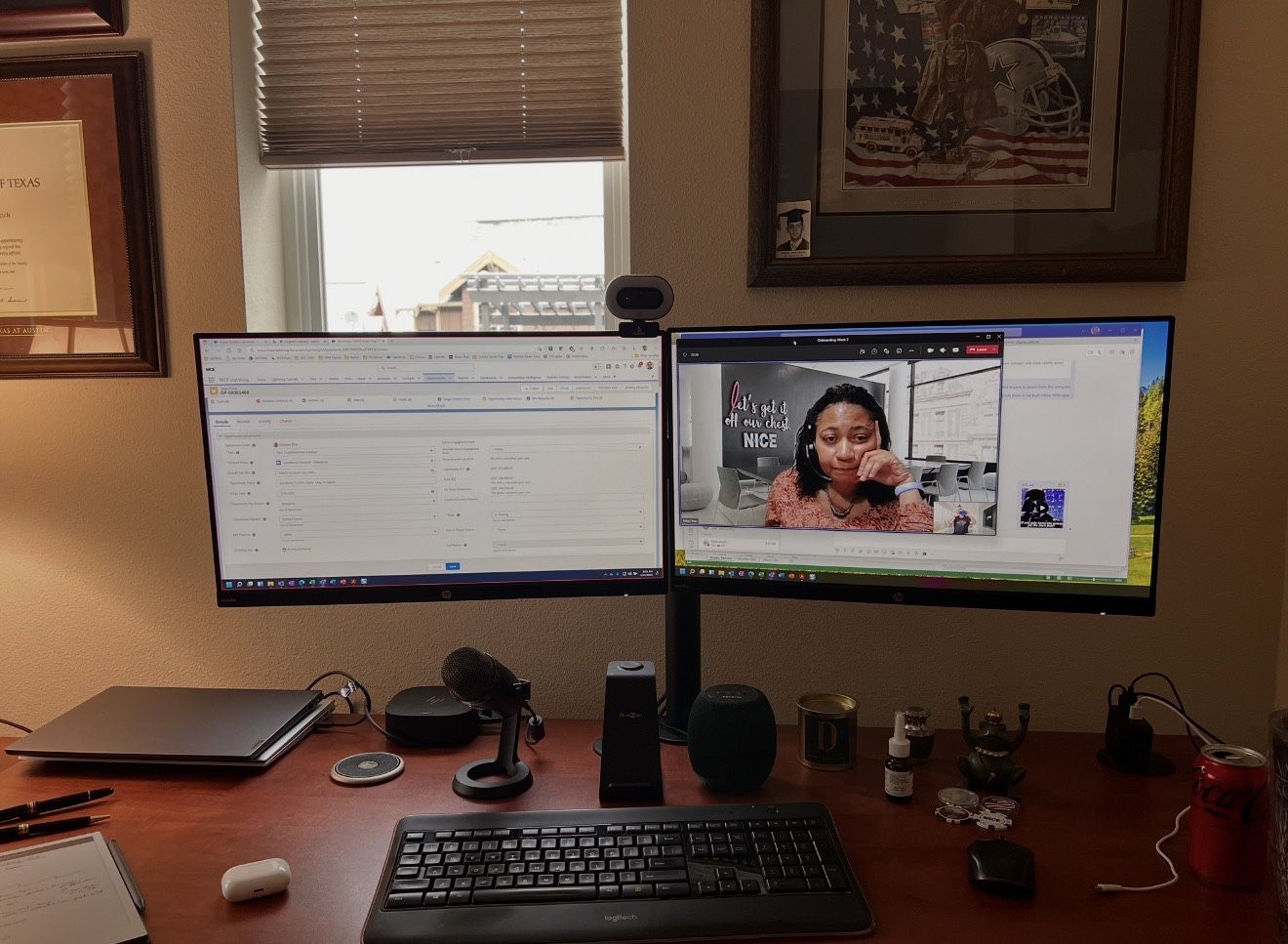 Dual monitors and Mount