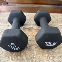 12lb Dumbbell Set