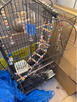 Two Bird cage