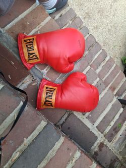 MUAY THAI SPARRING & EVERLAST BOXING GLOVESi