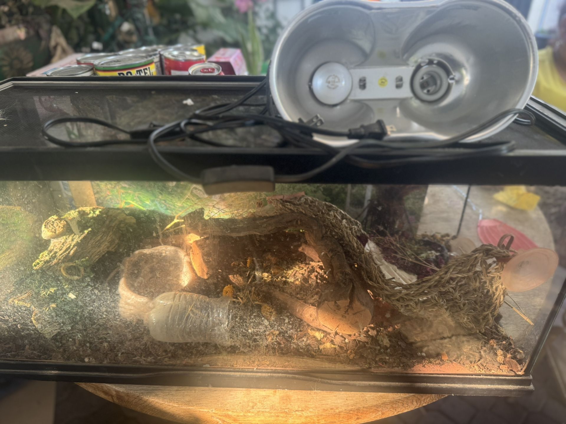 Reptile tank