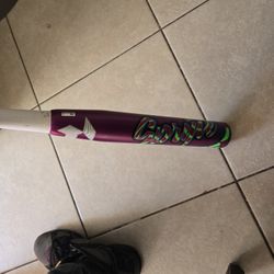 Softball Spryte Bat