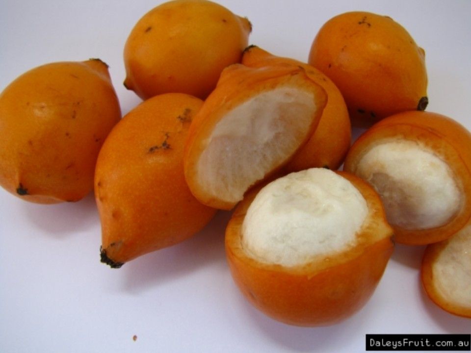 Achacha Honeykiss Mangosteen Trees 🌳 3gal