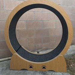 Cat Wheel 