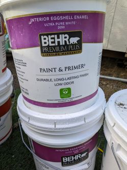Behr Paint And Primer Eggshell Interior Pure White 