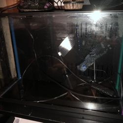 3 Gallon Fish Tank