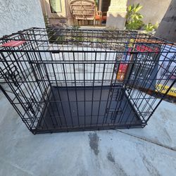Dog KENNEL