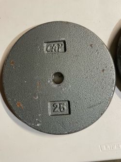 CAP Barbell 25 lb Cast Iron Weight Plates - Pair (50 lbs Total, 1" Standard)