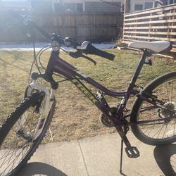 Kids Bike - 24” Trek Precaliber, Purple