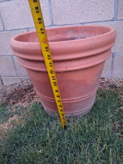 Pot