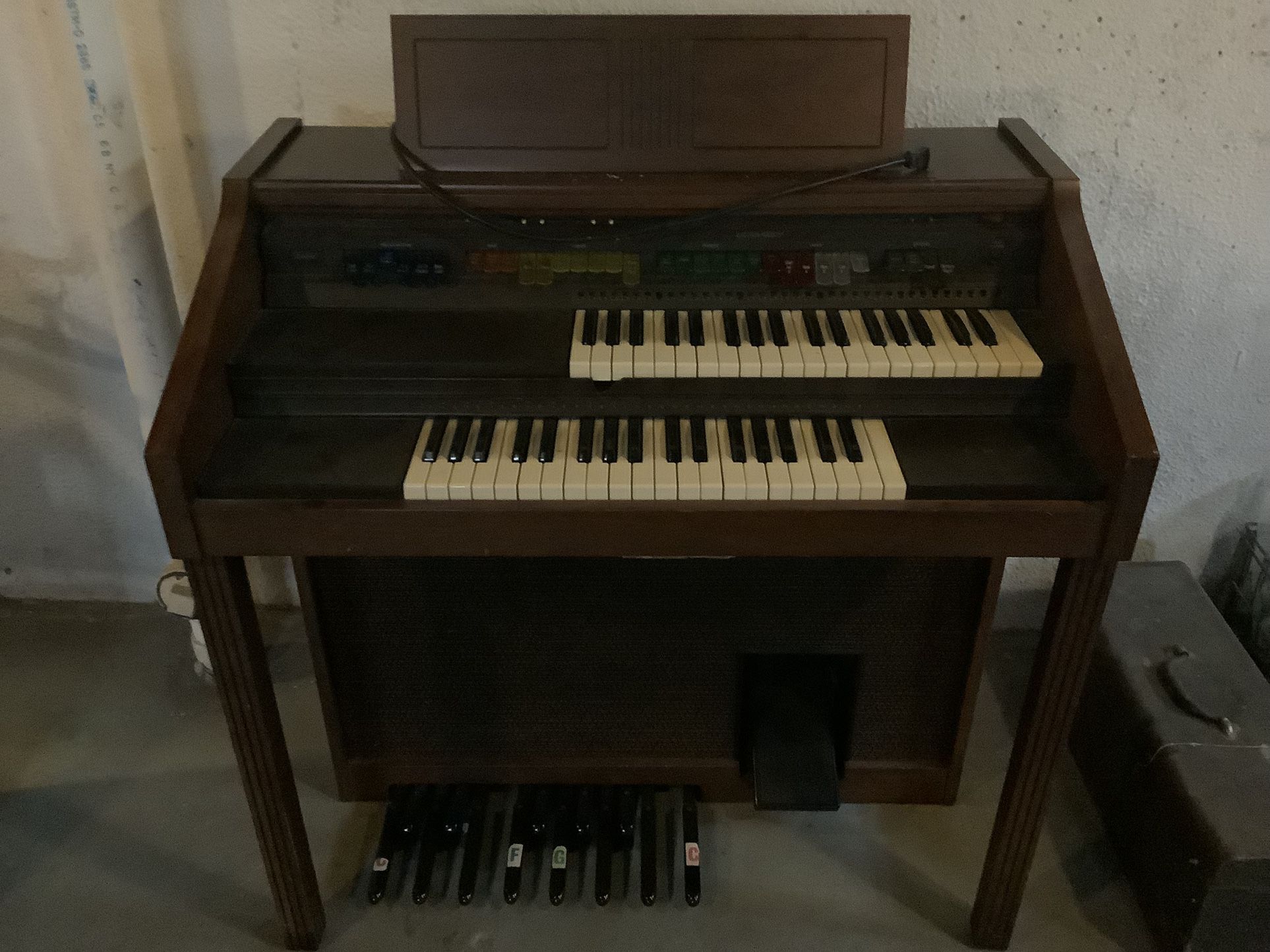 Free Organ