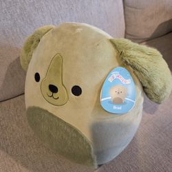 New Squishmallows 12" Brad Green Retriever Dog Puppy Super Cute Soft Plush Stuffed Animals Toys