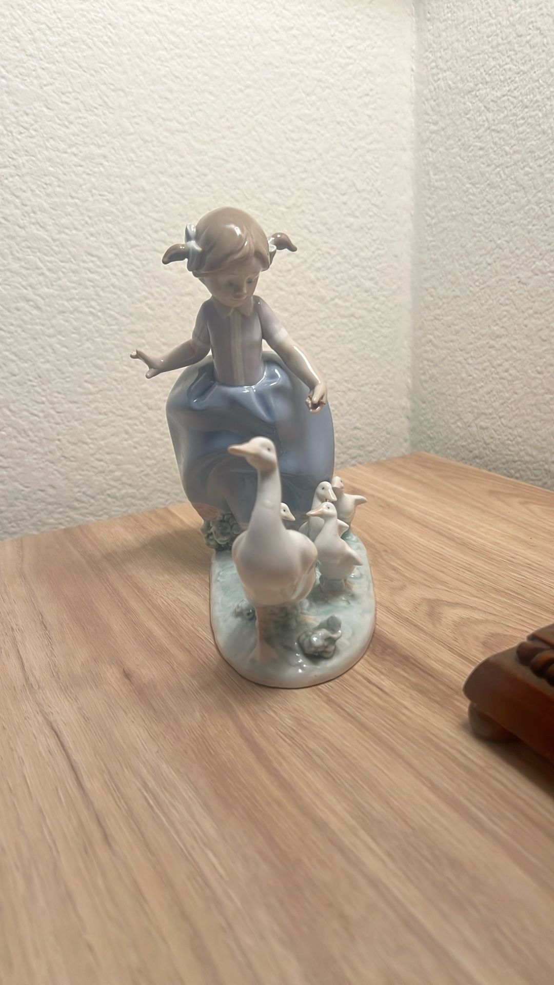 Girl With Geese