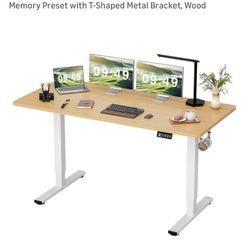 Sit/stand Desk 