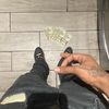 Jay
