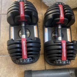 Weights and bench to make you as strong as Arnold.