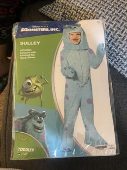 Monsters Inc Sulley Custom
