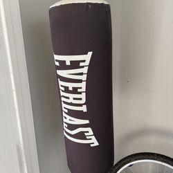 Everlast punching bag