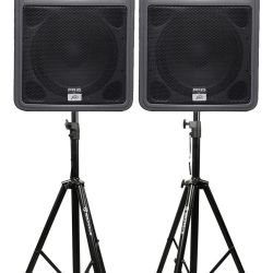 Peavey pr15 fashion speakers