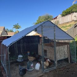 Chicken Coop and Accessories 