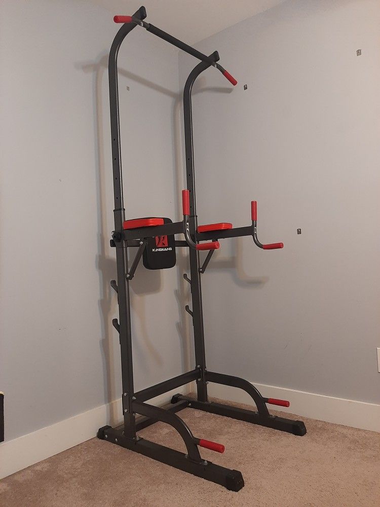 Home Workout Pullup, Dip, Push Up & Leg Raise System