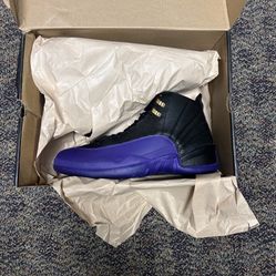 Jordan Court Purple 12 
