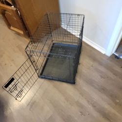 Dog Cage