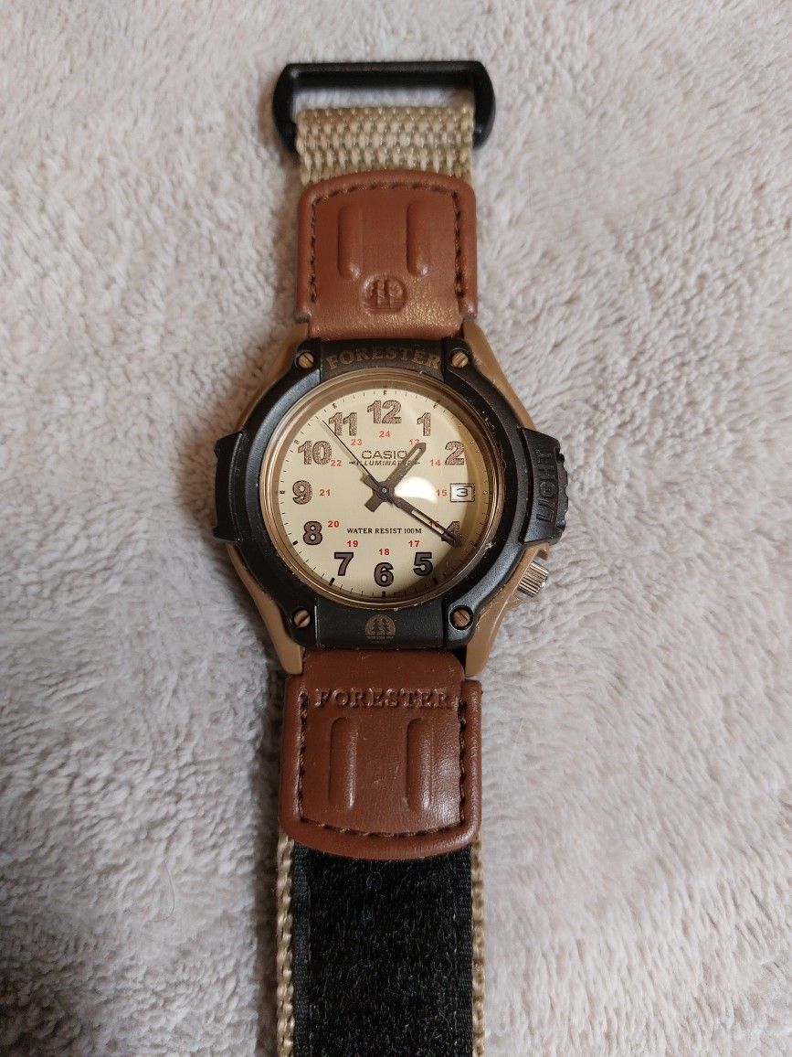 Brown Casio Forester New