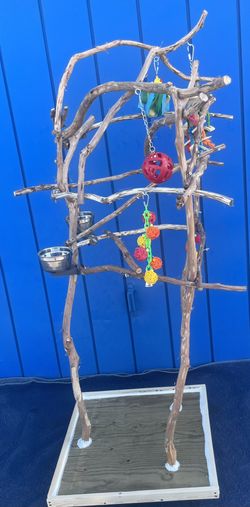 African Grey / Amazon Parrot Perch Tree … Funky And Curvy, Loved By Birdees ! A Great Socializer ! 👍🏼