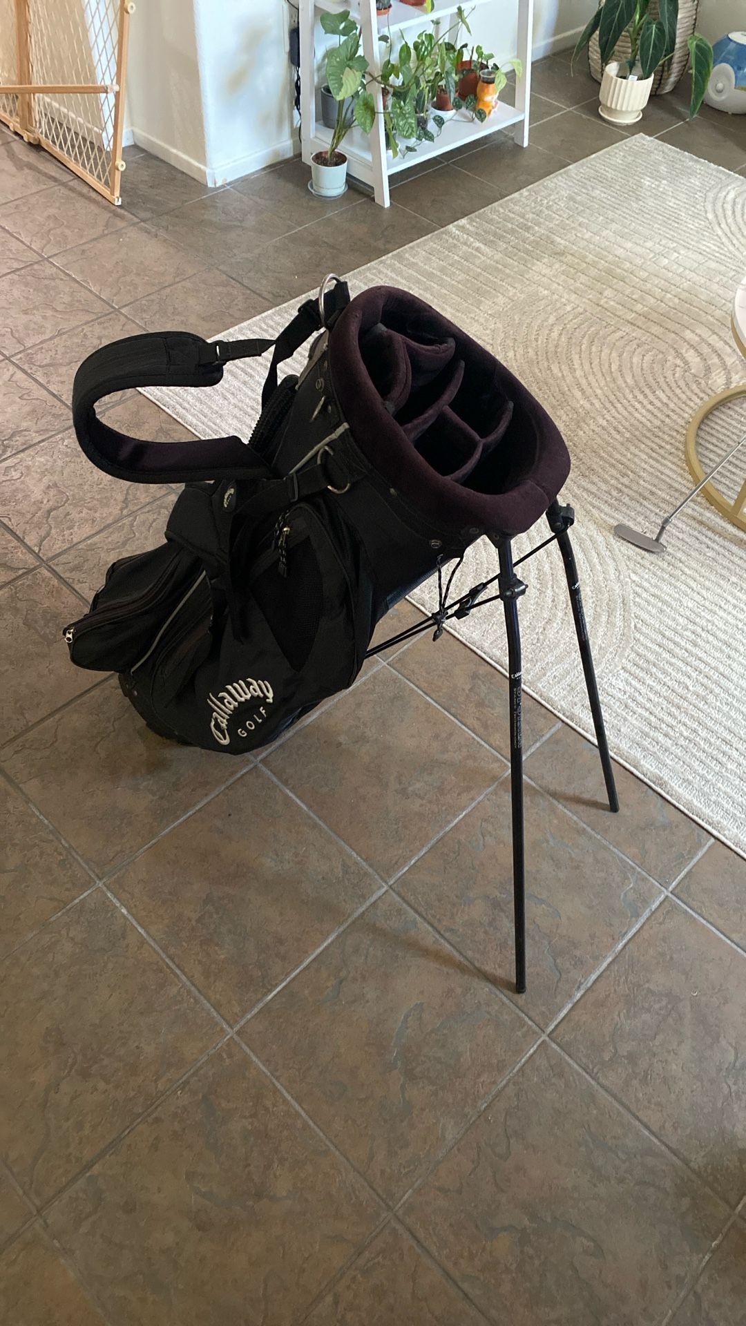 Callaway Golf Bag