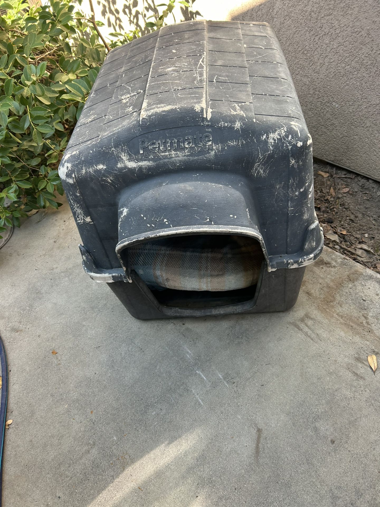 Dog House