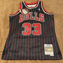 Chicago Bulls 