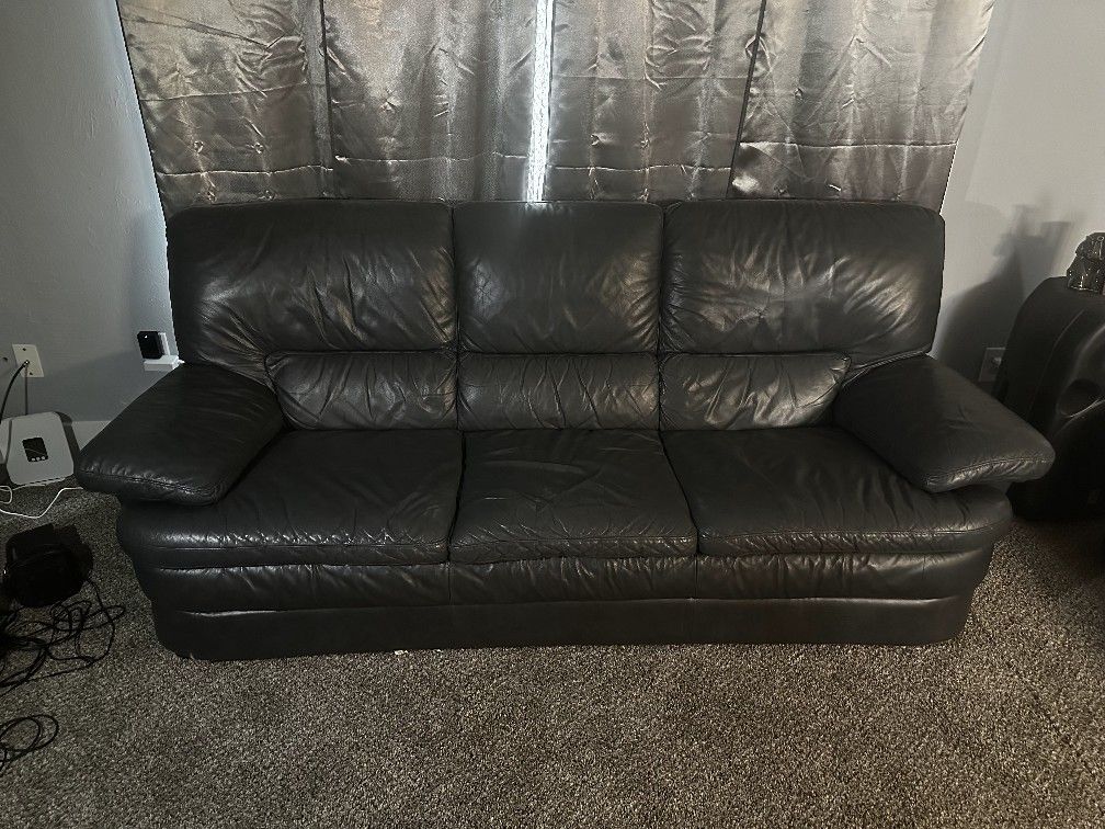 Gray Leather Couches