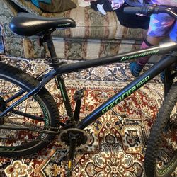 Mountain Bike 
