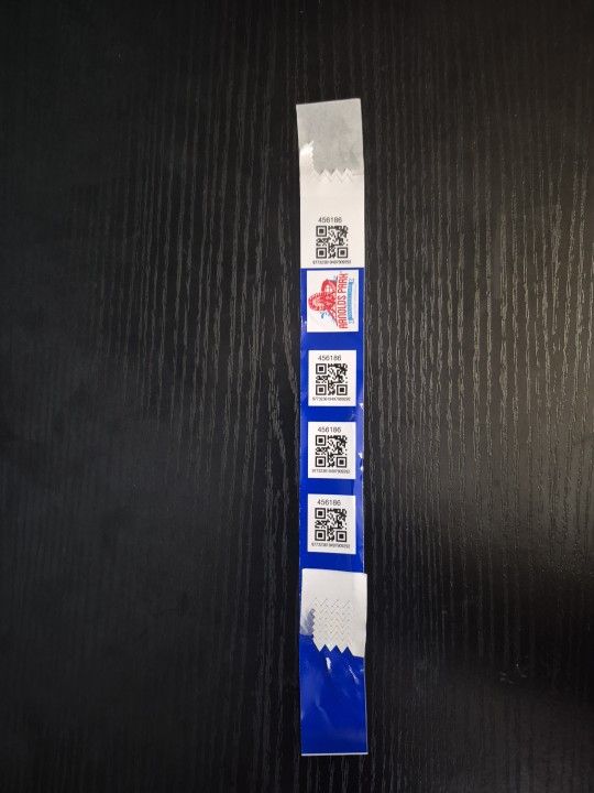 Arnolds Park Amusement Park Day Wristband