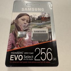 Samsung MicroSD XC 256 GB