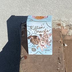 Kitten Guidebook 