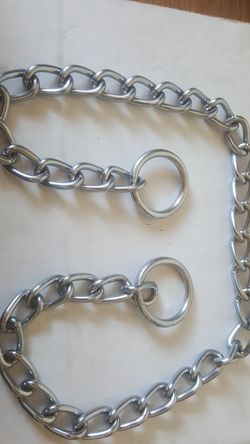 Dog collar nice and chiny