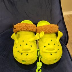 Shrek Crocs