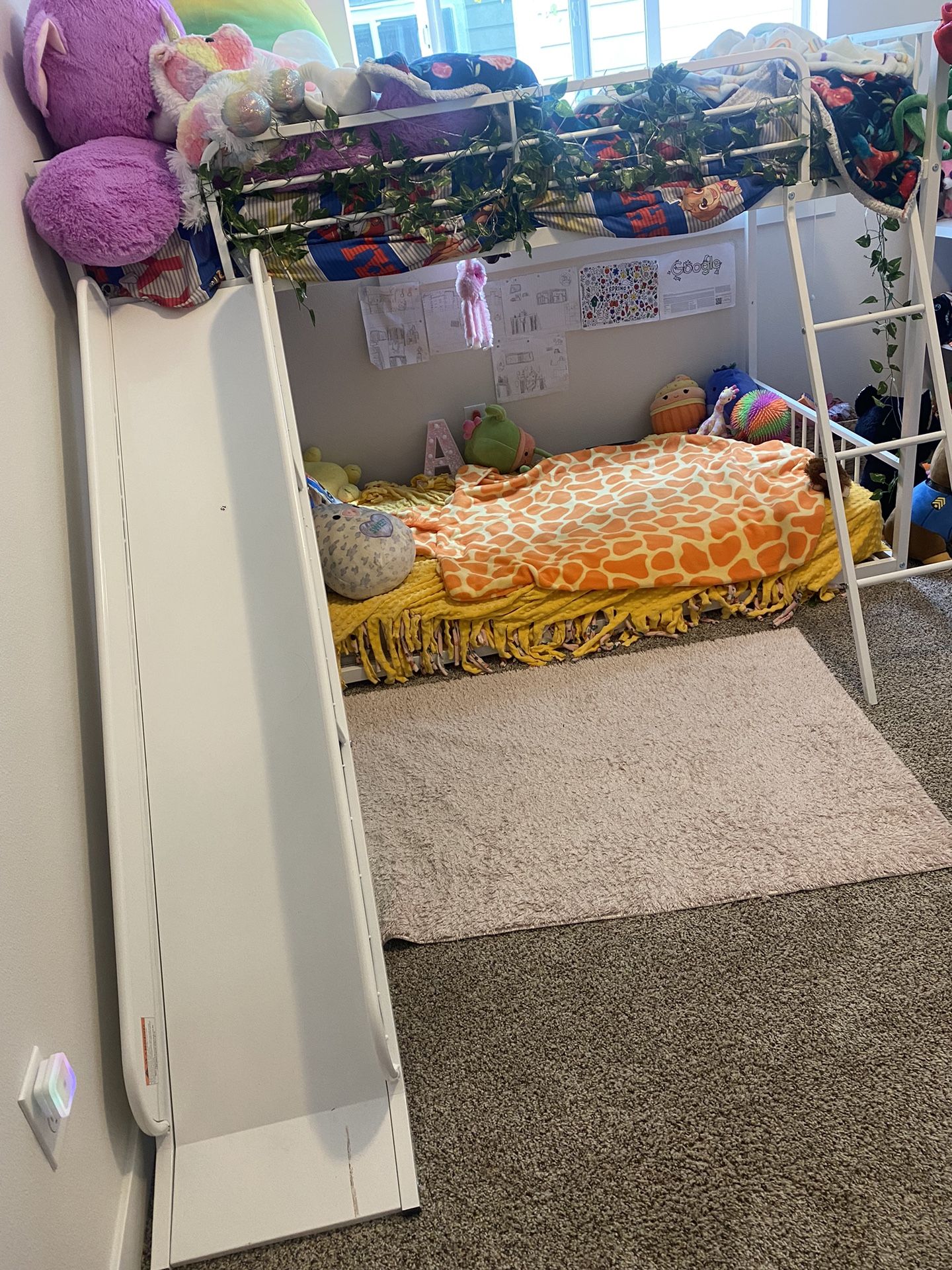 Bunk Beds