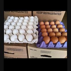 Huevos Por Cajas De 100 Huebos Jumbos Blancos Y Cafés 
