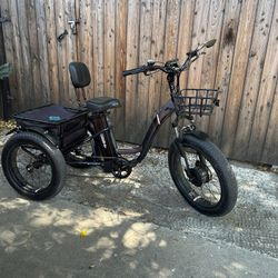 Emojo Electric Tricycle