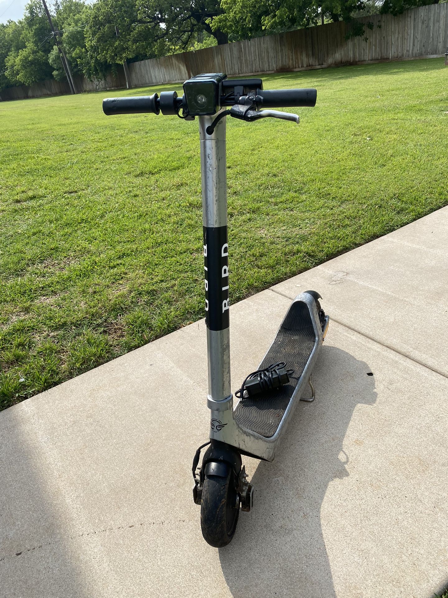 Bird Scooter for Sale in Leander, TX OfferUp