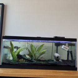 Complete Tank Set Up.