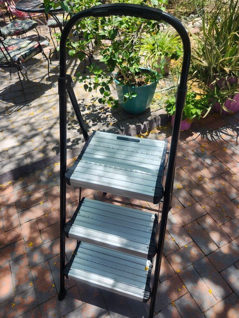 $10 Cosco Ladder
