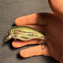 Bass Colored Shallow Diving Crankbait Fishing Lure