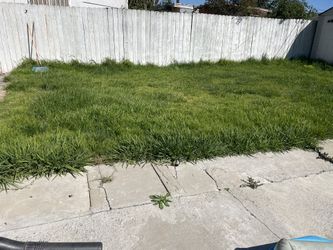 Jardinero 
