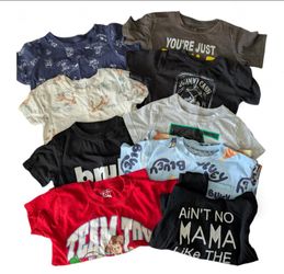 Boys T-shirt bundle| size: 2T