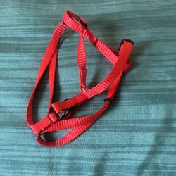 red dog collar 